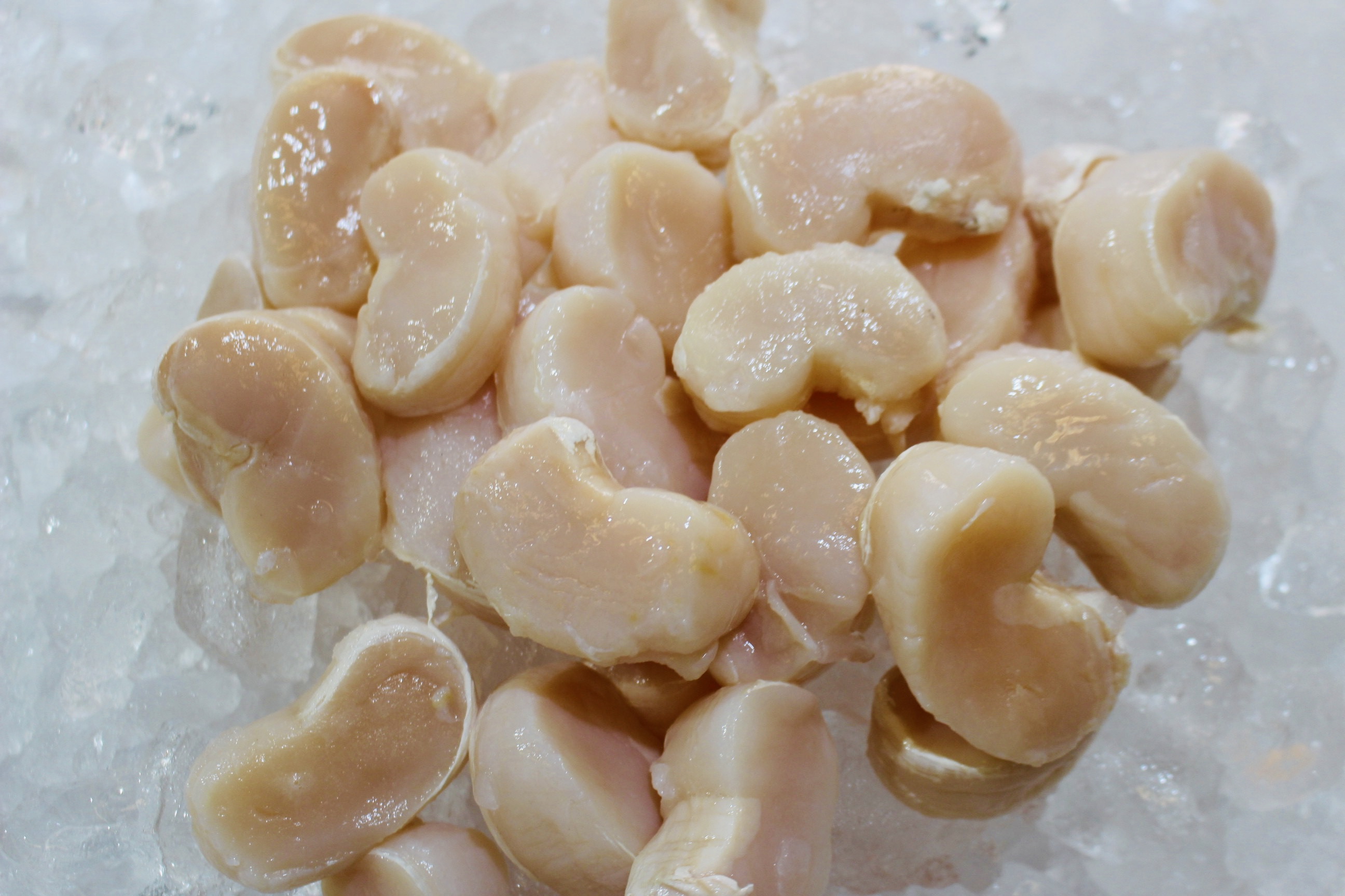 Callo de Hacha