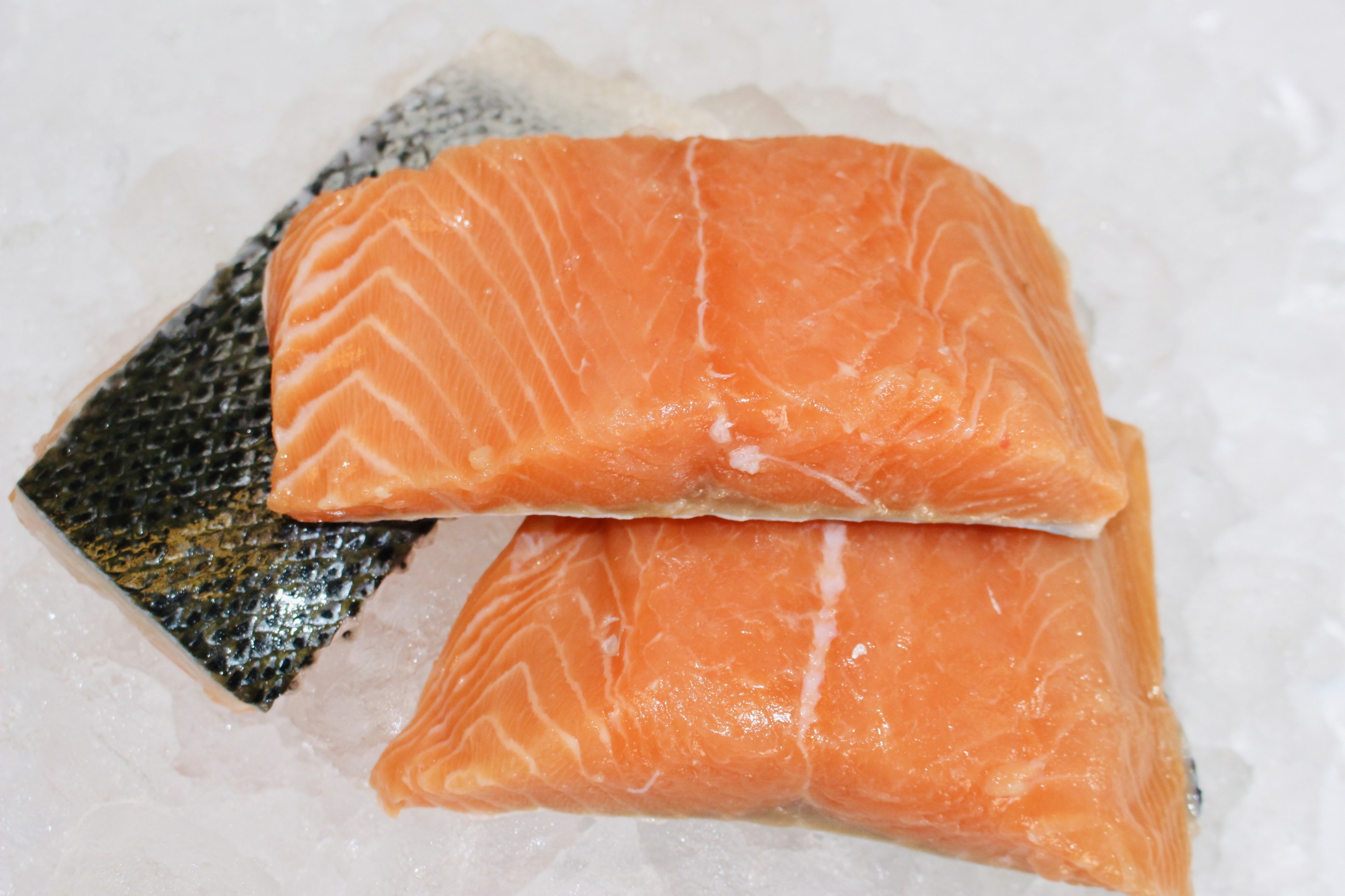 Salmón