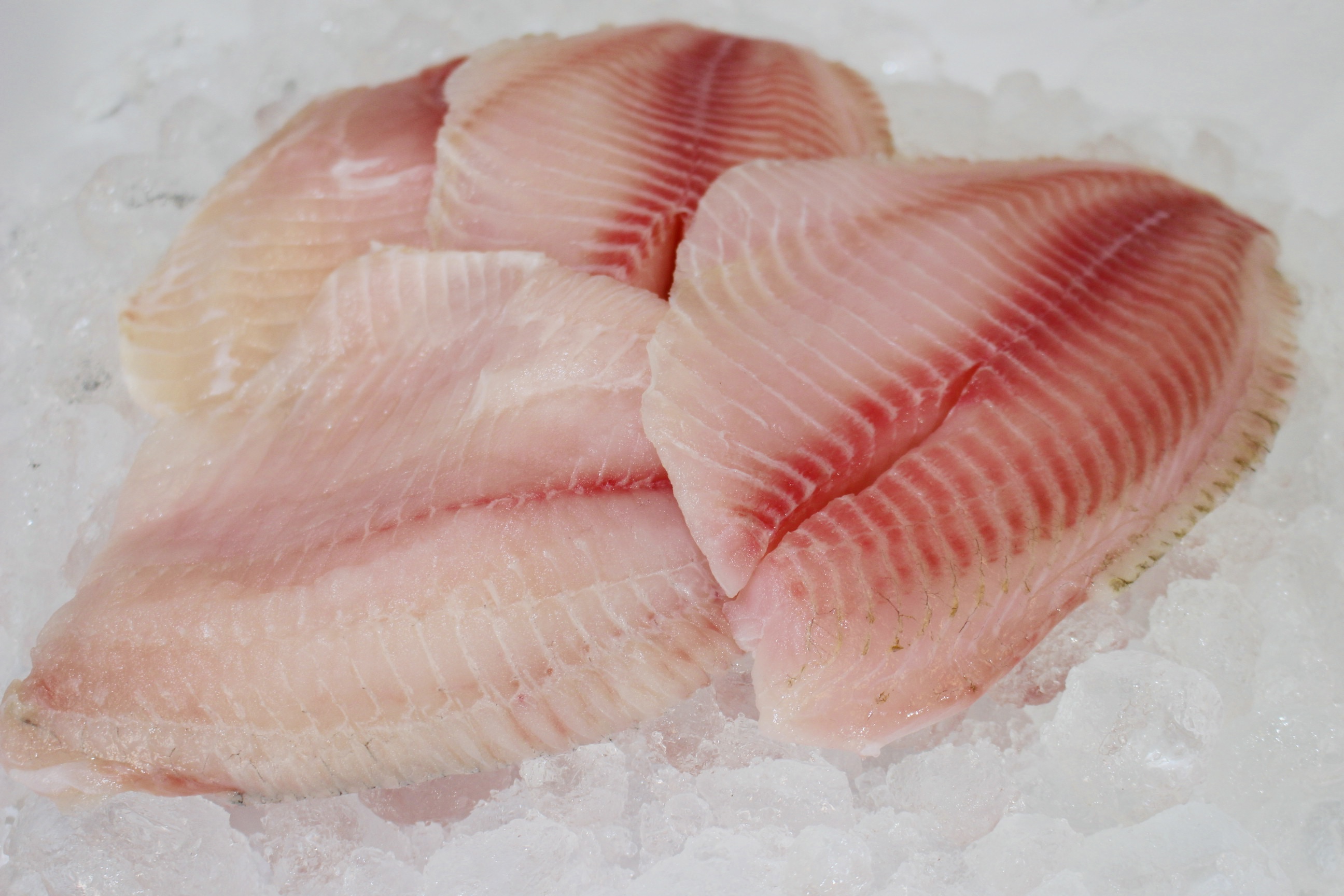 Tilapia Filete