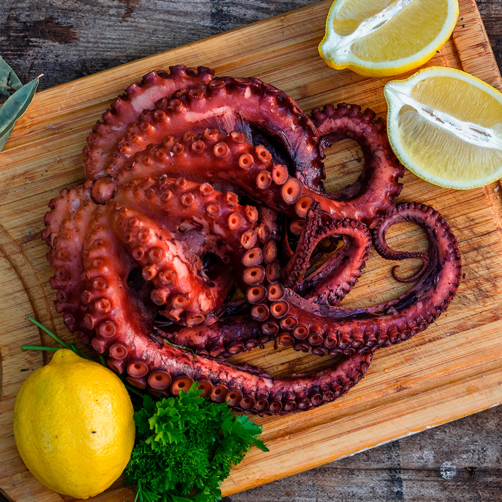 Pulpo