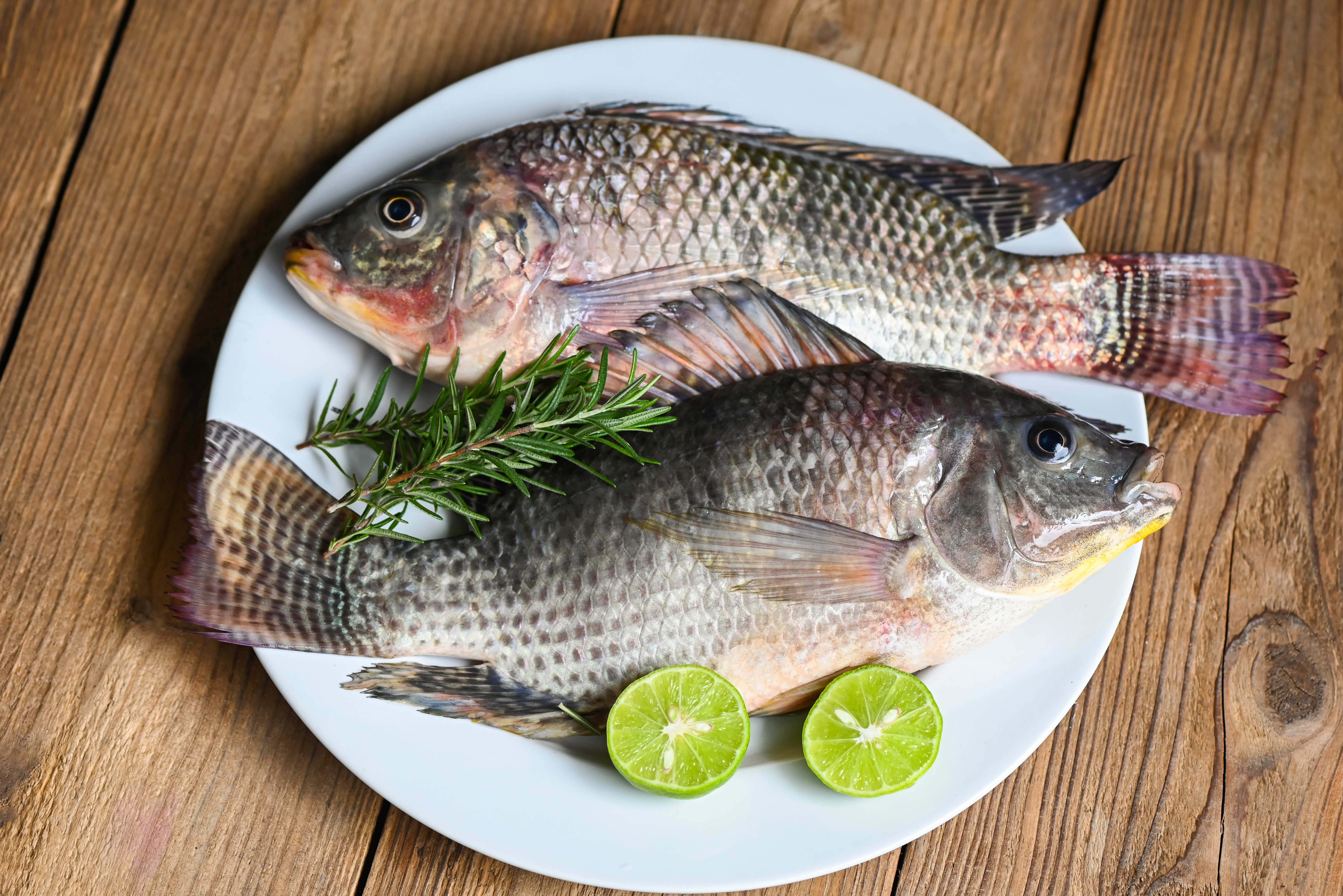 Tilapia Entera